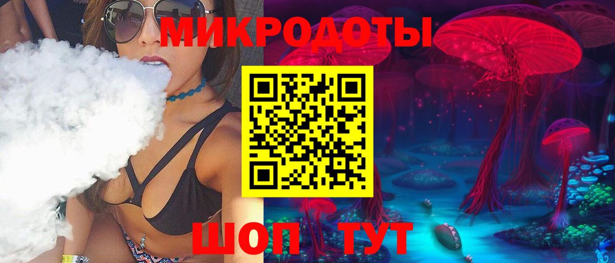Псилоцибиновые грибы Psilocybine cubensis Сызрань