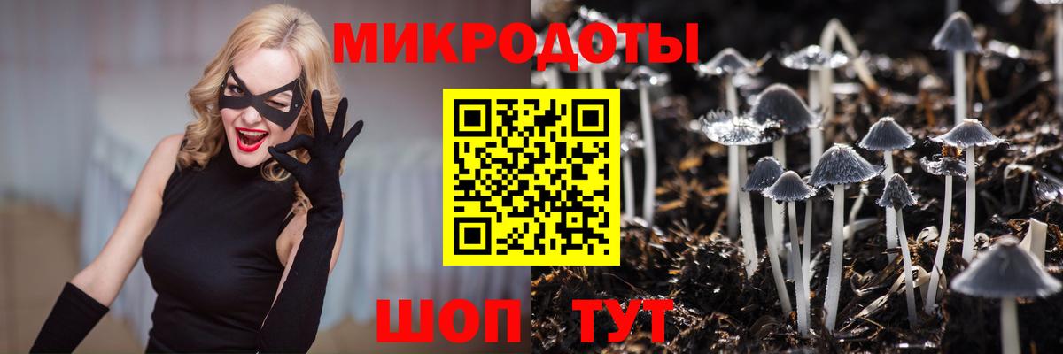 Галлюциногенные грибы Psilocybe  Вход с VPN  Сызрань 